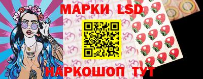мдпв Новозыбков