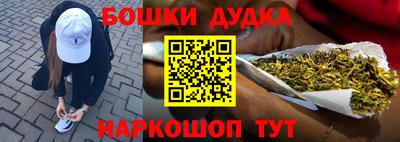 альфа пвп Новодвинск