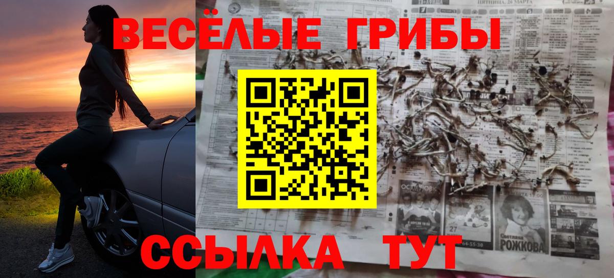 Галлюциногенные грибы Cubensis  Псилоцибиновые грибы ЛСД  цены наркотик  Феодосия  Вход с VPN 
